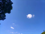 后林村文体公园