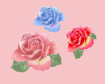 手绘花朵
