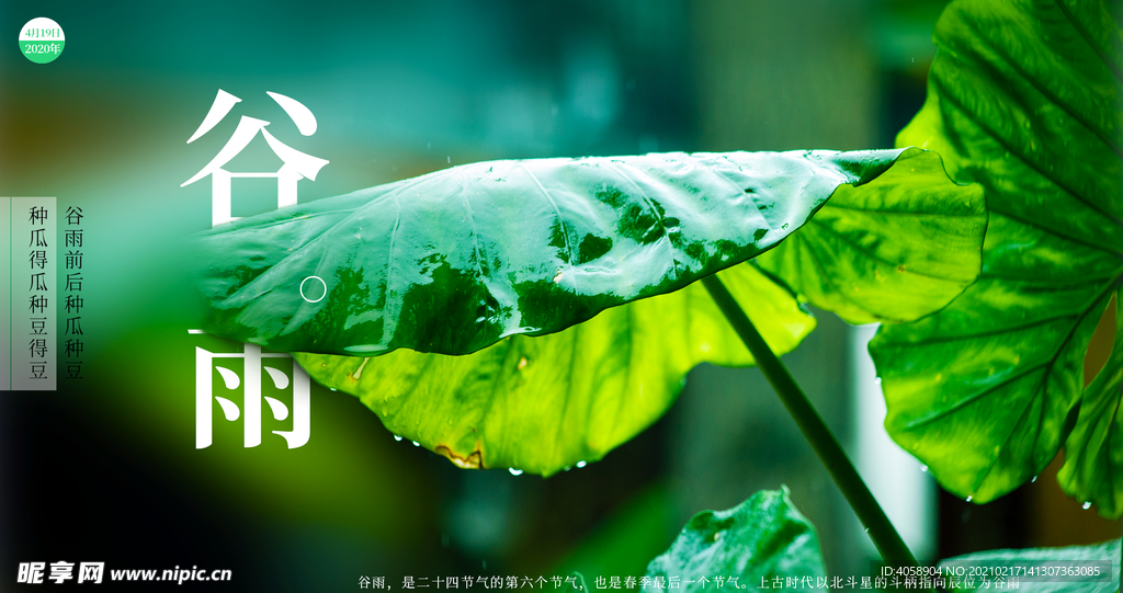 谷雨