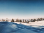 雪景