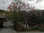 东莞人民公园