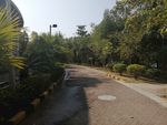 巽寮湾度假村