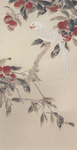 陈之佛国画 白翎朱实