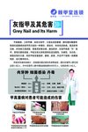 顾甲堂 海报
