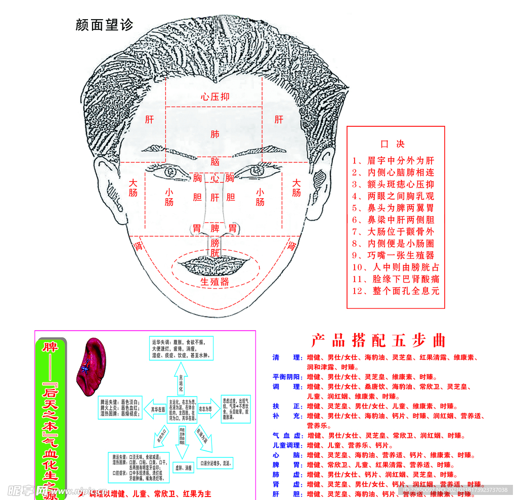 颜面望诊图海报