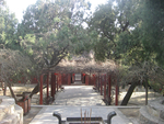 旅游照片