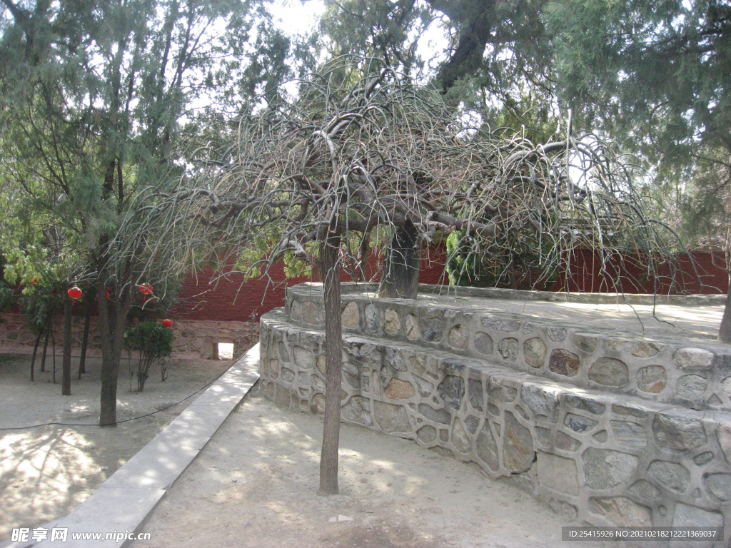 旅游照片