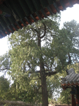 旅游照片