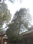 旅游图片