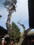 旅游图片