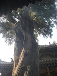 旅游图片