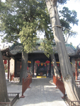 旅游图片