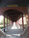 旅游照片