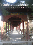 旅游照片