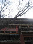 旅游照片
