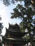 旅游照片