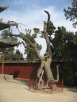 旅游照片