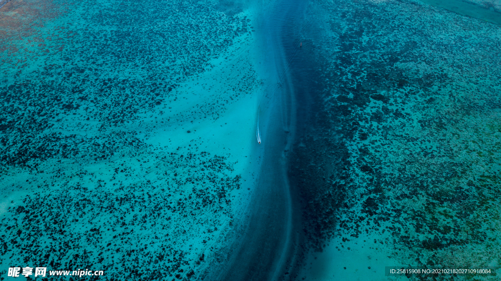 海景