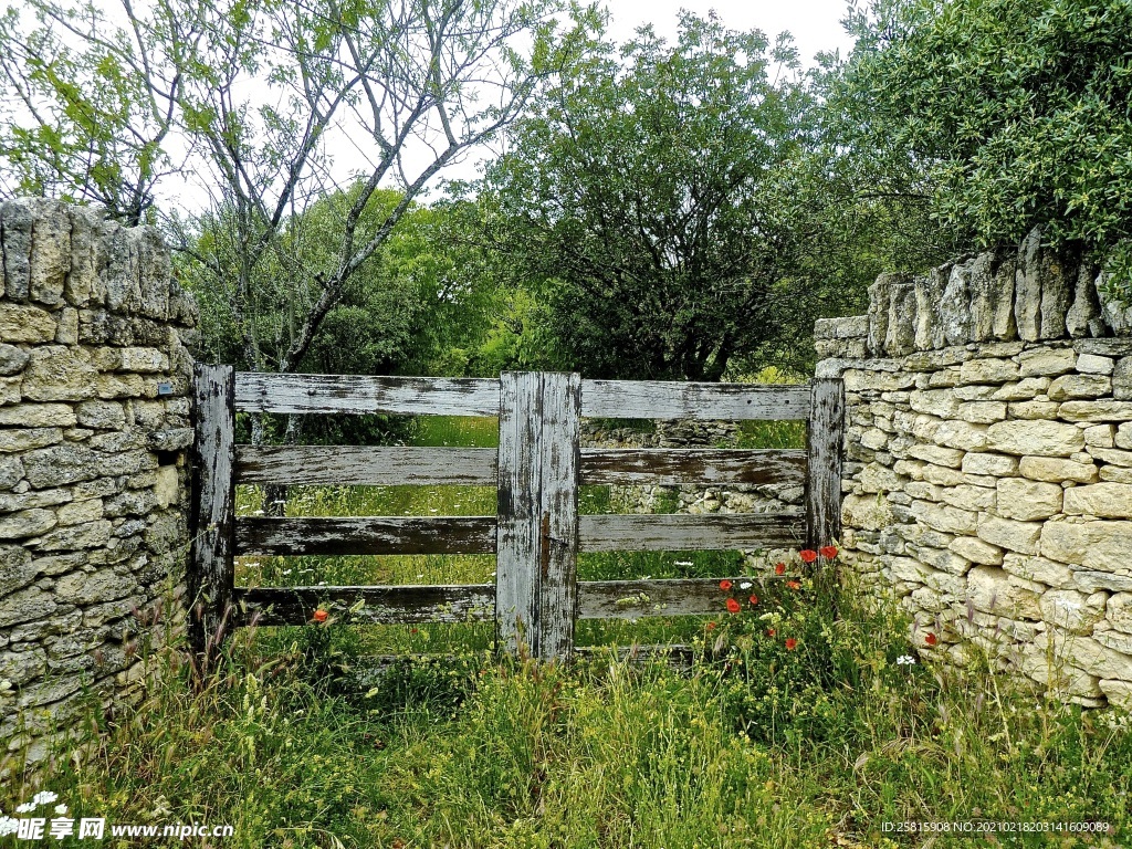 Get creative with garden decorative fencing options for added privacy ...