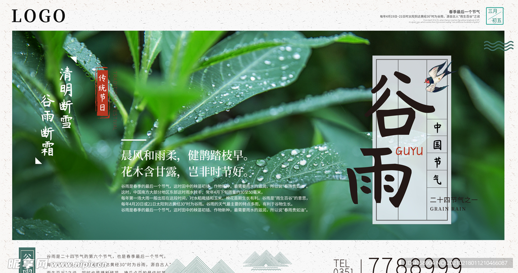 谷雨