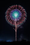 烟花