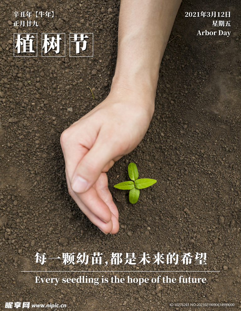 简约摄影图植树节海报
