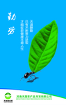 企业文化展板