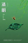 清明节