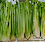 芹菜