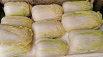 娃娃菜