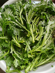 茼蒿