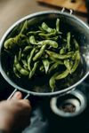 豌豆