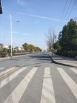 道路