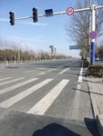 城市