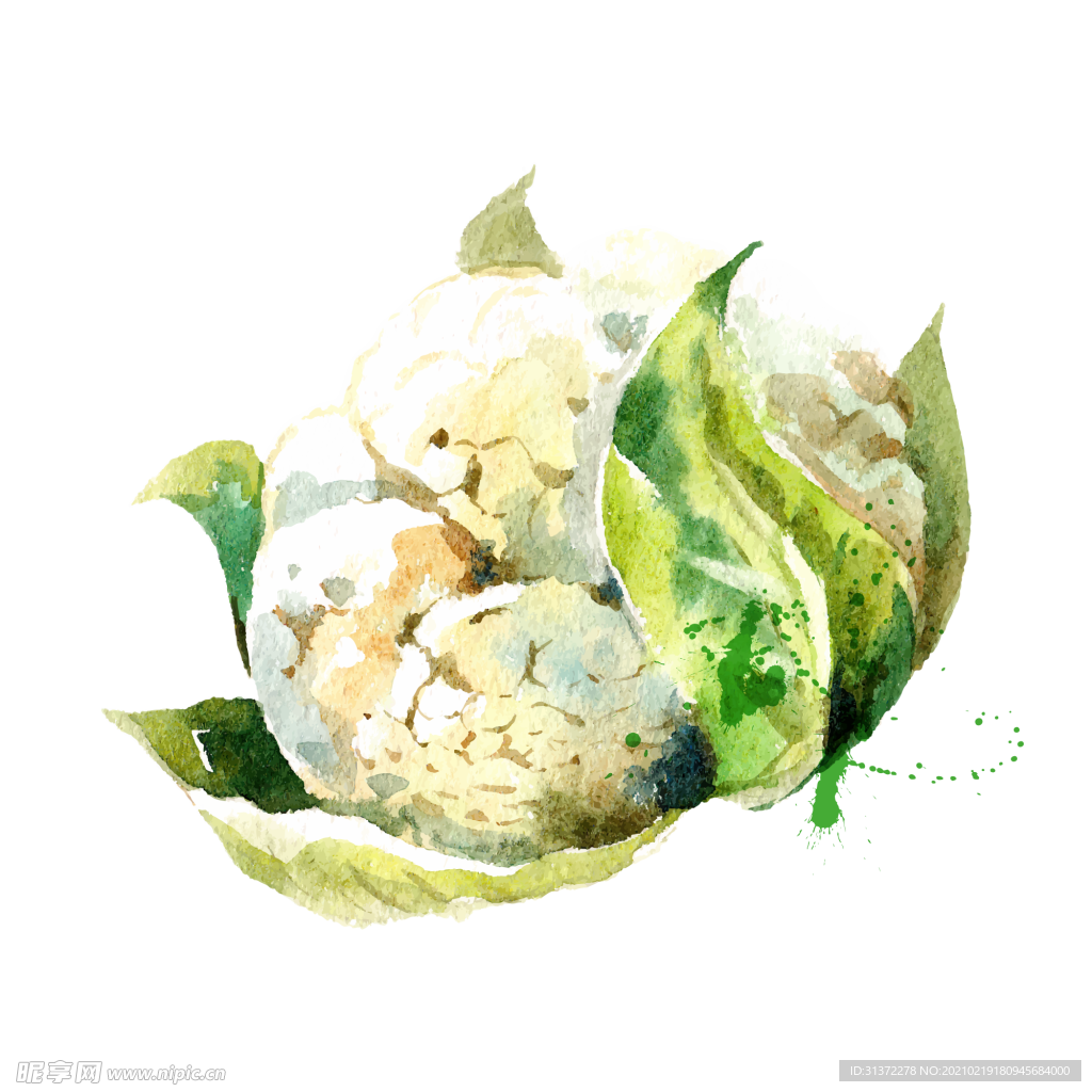 手绘彩色蔬菜免扣素材图片