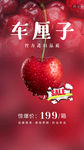 车厘子