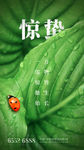 惊蛰