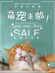 宠物海报招贴