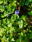 东湖植物园踏青