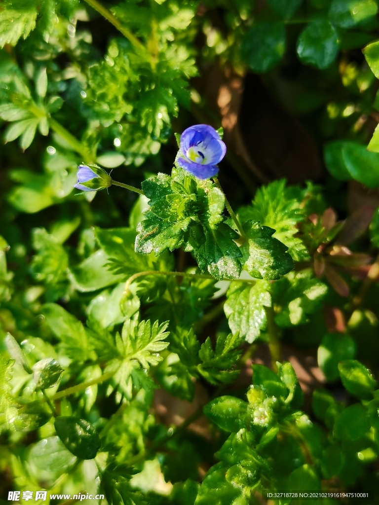 东湖植物园踏青