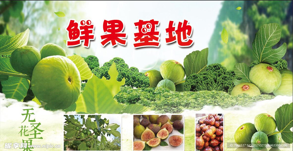 无花果海报