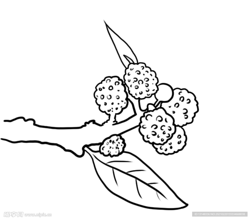 花椒
