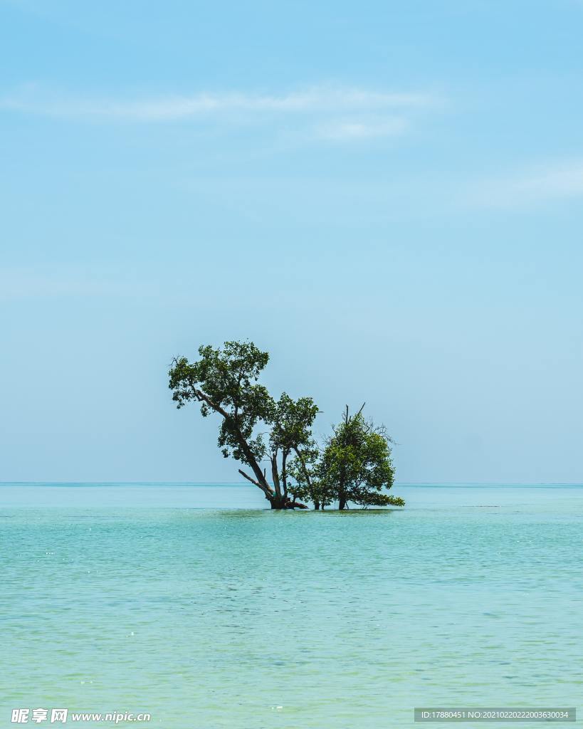 海边