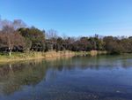 八卦田
