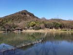八卦田