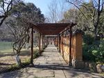 八卦田