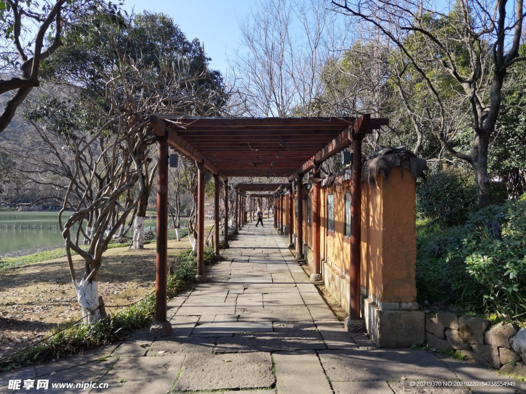 八卦田