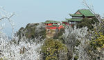 寺院