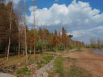 尖山公园