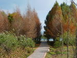 尖山公园